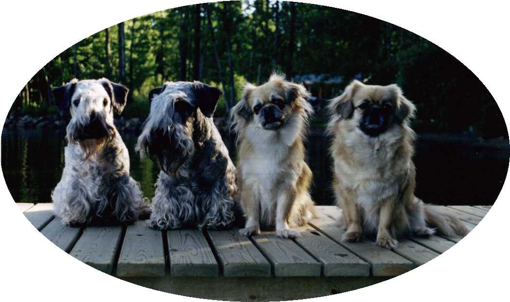 Chyba, Miro, Lily and Ida