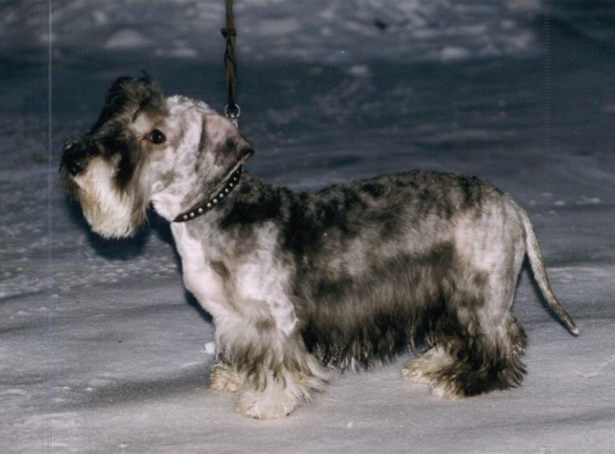 Qilda